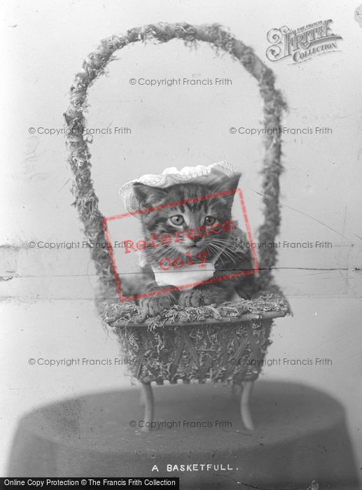 Photo of A Basket Full c.1890