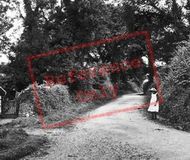 A Country Lane 1912, Generic