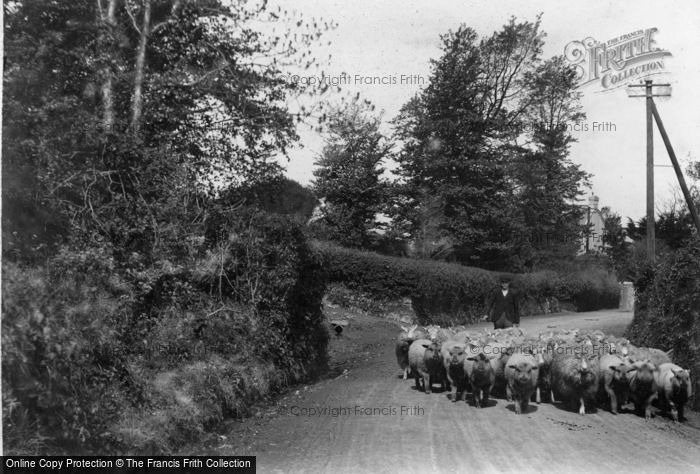 Photo of A Devonshire Scene c.1890