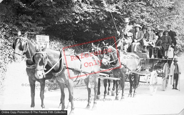 Photo of A Horse And Carriage c.1912