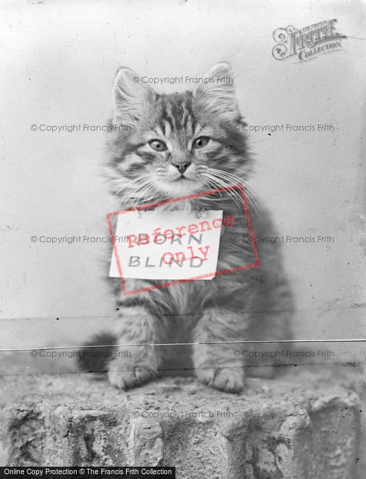 Photo of Born Blind c.1890