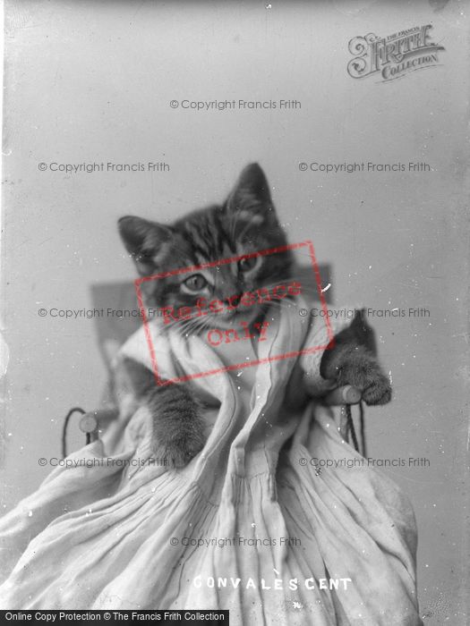Photo of Convalescent c.1890