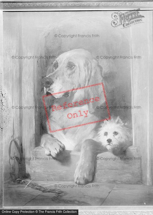 Photo of 'dignity And Impudence' By Sir Edwin Landseer, Exhibited 1839