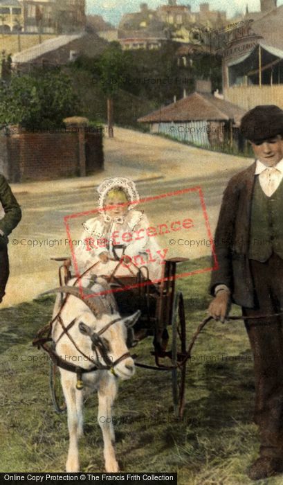 Photo of Goat Cart 1907