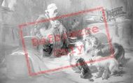 Highland Breakfast 1895, Generic