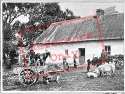Irish Farm Yard c.1900, Generic