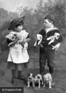 Mine's Best 1894, Generic