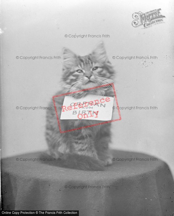 Photo of Orphan From Birth c.1890