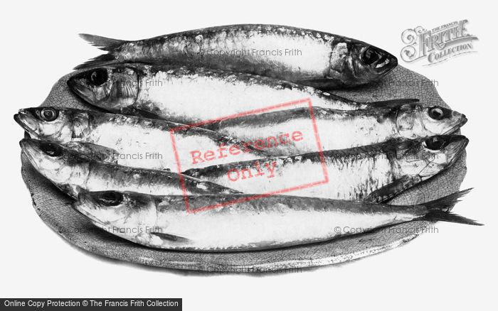 Photo of Pilchards Seven A Penny 1912