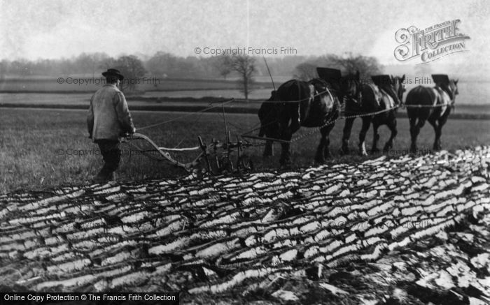 Photo of Ploughing c.1900