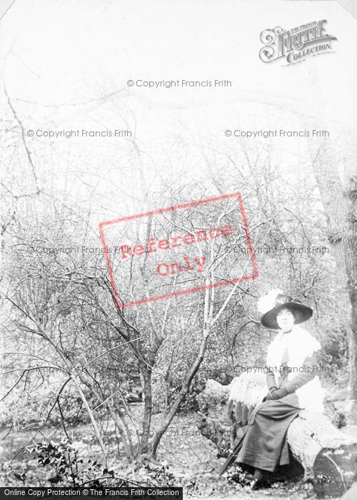 Photo of Sitting On A Log c.1912