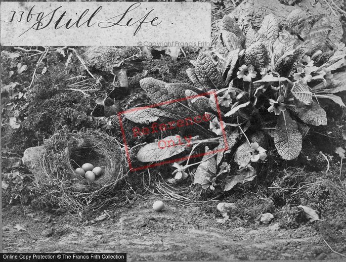 Photo of Still Life No 24 c.1866