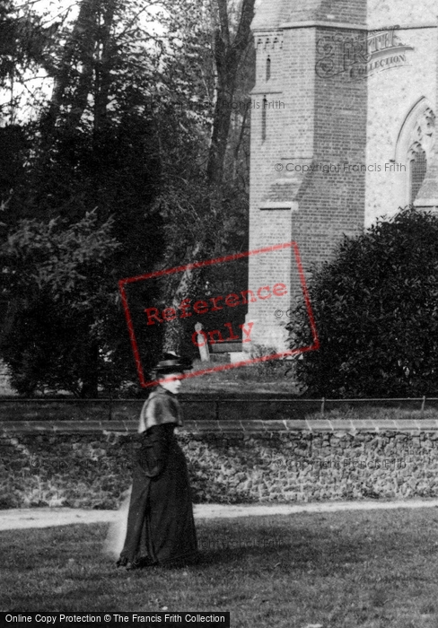 Photo of Springfield, A Lady By A Tree 1892