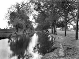 Baddow Meads 1919, Springfield