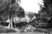 Mill 1906, Springfield