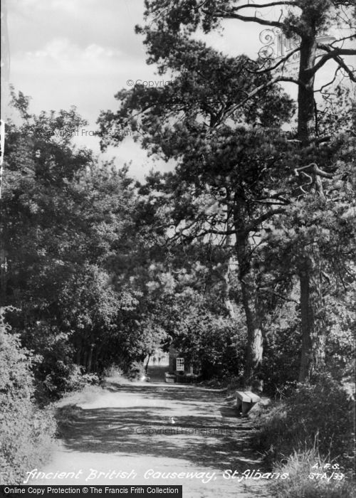 Photo of St Albans, The Ancient British Causeway c.1955