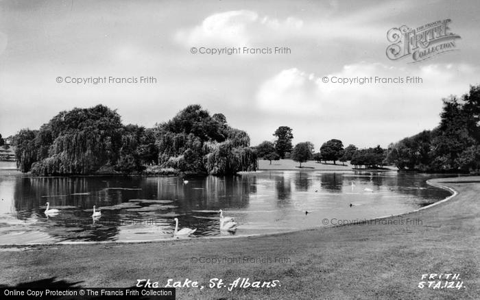 Photo of St Albans, The Lake c.1960