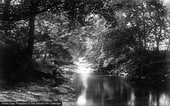 Photo of St Asaph, Elwy River, Cefn c.1875
