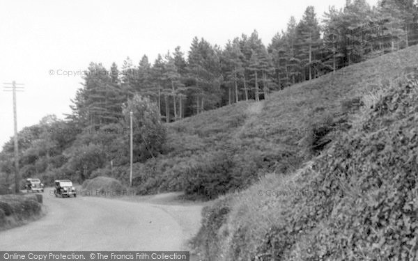 Photo of St Audries Bay, The Woods c.1939