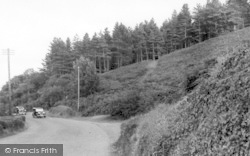 St Audries Bay, The Woods c.1939, St Audrie's Bay