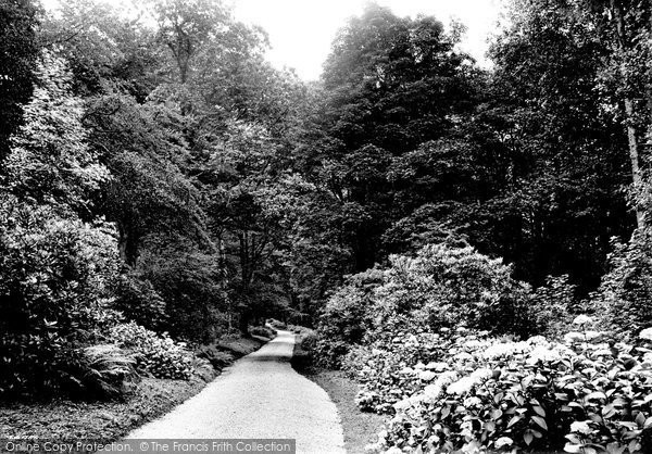 Photo of St Austell, Penrice Woods 1912