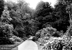 Penrice Woods 1912, St Austell