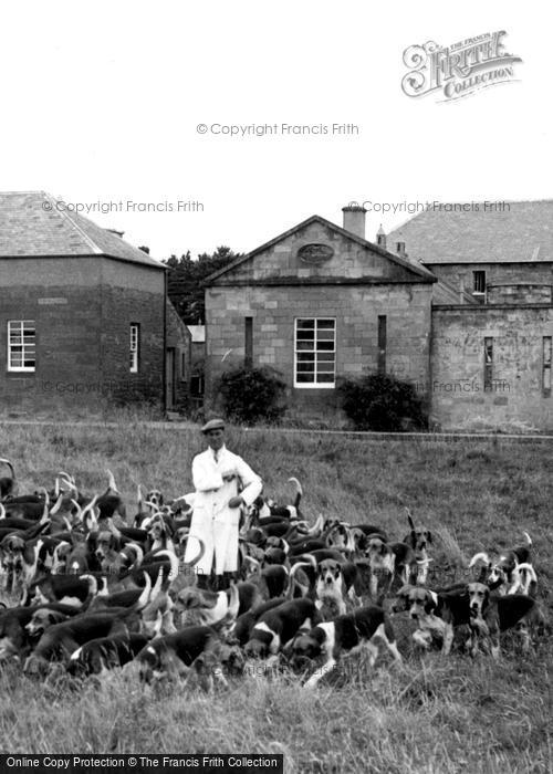 Photo of St Boswells, The Buccleuch Hounds c.1955