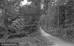 Vale Of Lanherne, Carnanton  Woods 1906, St Columb Major