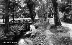 Vale Of Lanherne, Carnanton Woods 1906, St Columb Major