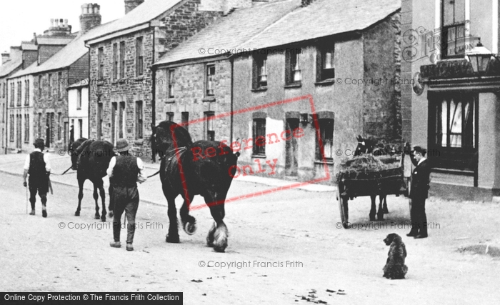 Photo of St Columb Major, Working Horses On Fair Street 1906