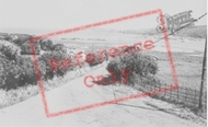 River Teifi And Webley Hotel c.1965, St Dogmaels