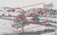 The Cwm c.1960, St Dogmaels
