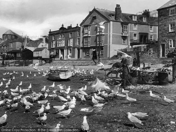 Photo of St Ives, Gulls 1925