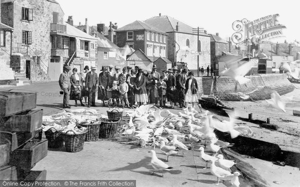 Photo of St Ives, Gulls 1926
