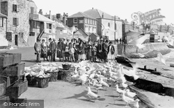 Gulls 1926, St Ives