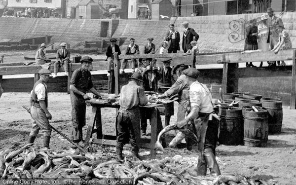 Photo of St Ives, Harbour, Cleaning The Fish 1925