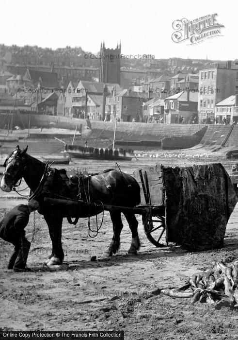 Photo of St Ives, Horse And Cart By Fishing Catch 1925