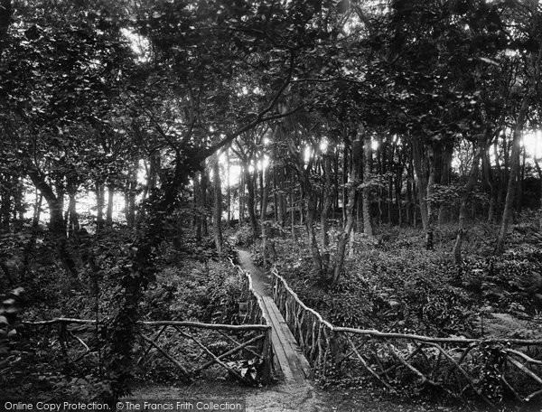 Photo of St Ives, Tregenna Castle Hotel Woods 1925