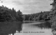 St Leonards Forest, Hammer Ponds c.1927, St Leonard's Forest