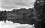 St Leonards Forest, New Pond c.1930, St Leonard's Forest