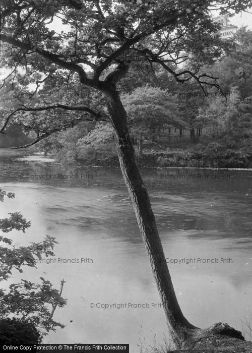 Photo of St Leonards Forest, Off Funace Pond c.1930