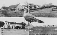 Composite c.1960, St Mary's Bay