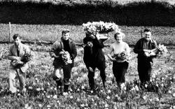 Flower Picking c.1955, St Mary's