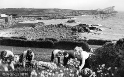 Flower Picking c.1959, St Mary's