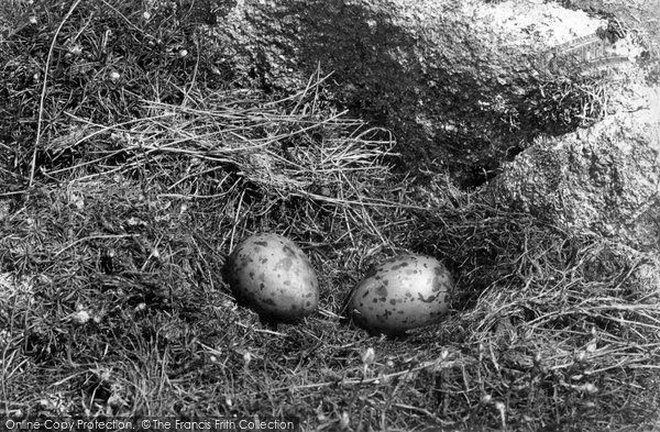 Photo of St Mary's, Gull's Nest 1893