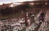 Scillonian Family c.1891, St Mary's