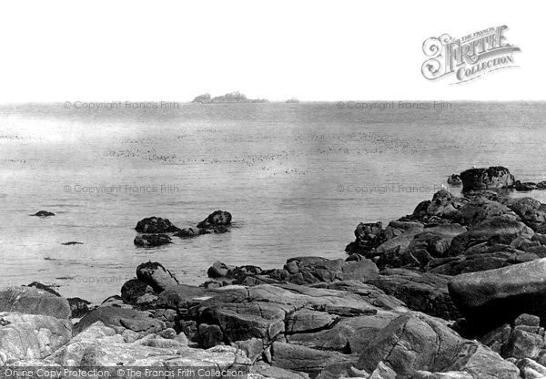 Photo of St Mary's, Sea Gulls 1893