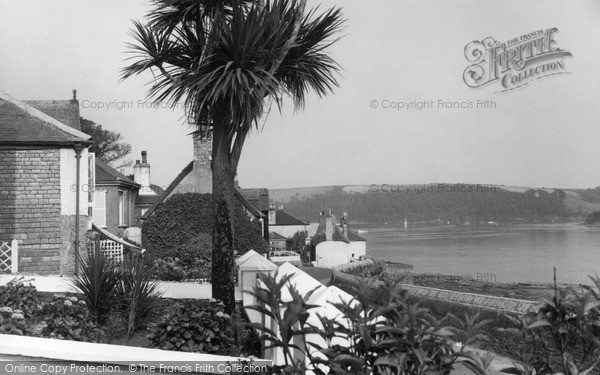 Photo of St Mawes, Palm Trees c.1960