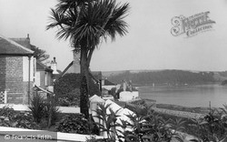 Palm Trees c.1960, St Mawes