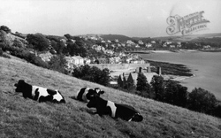 View From Castle Hill c.1955, St Mawes